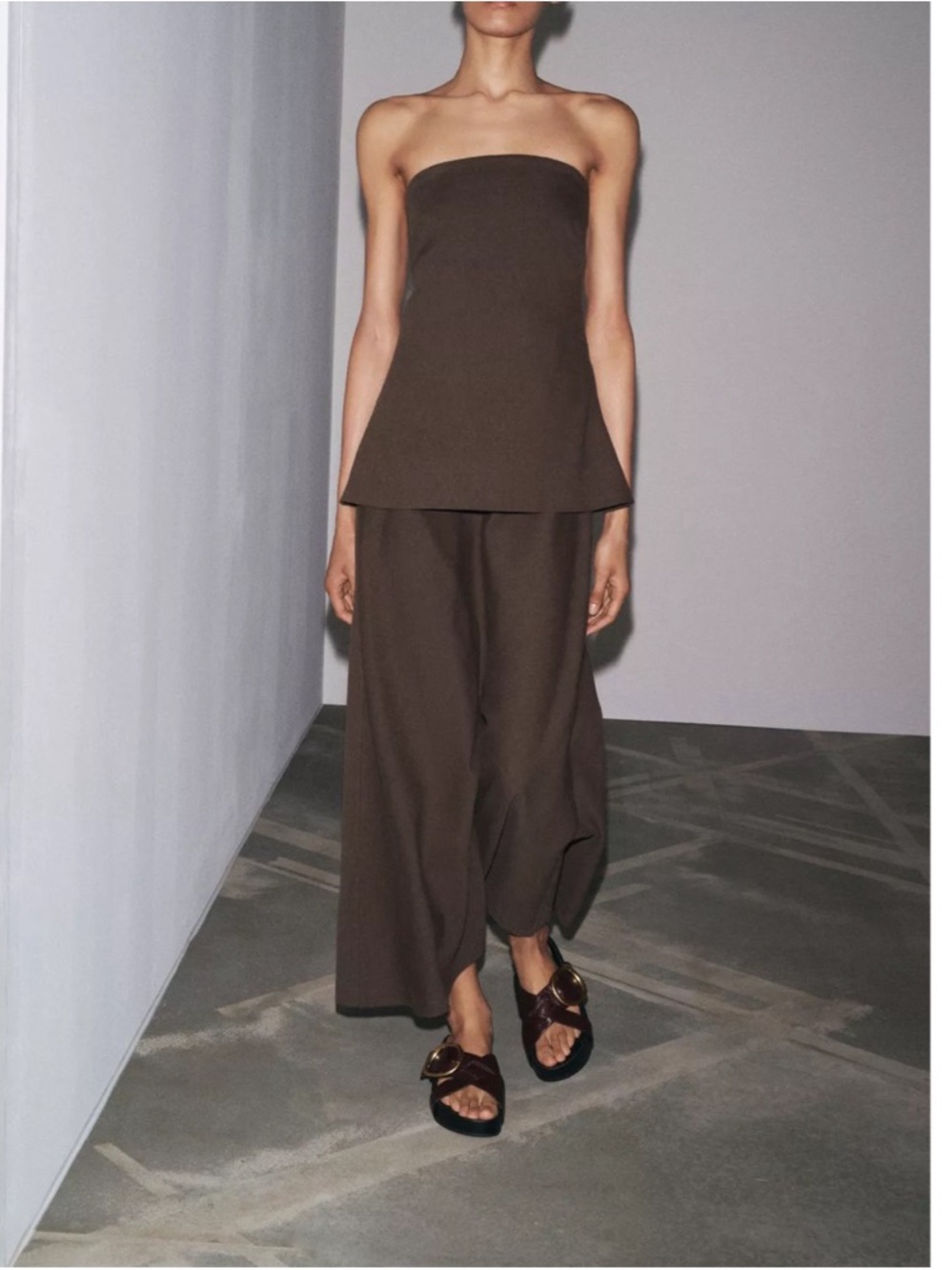 Zara Strapless Brown dress